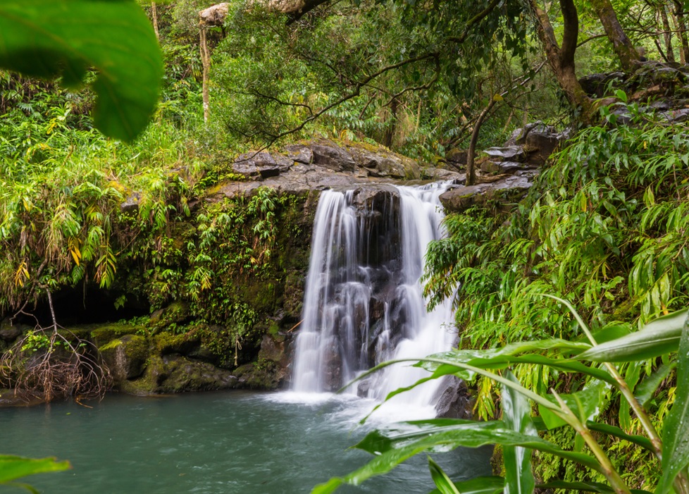 A waterfall In Hawaii