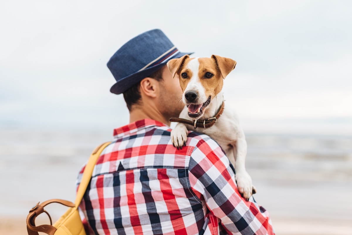 Small dog held by owner.